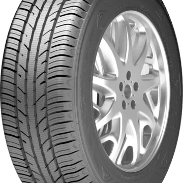 195/60 R15 ZEETEX WP1000 92H (C,C,69)